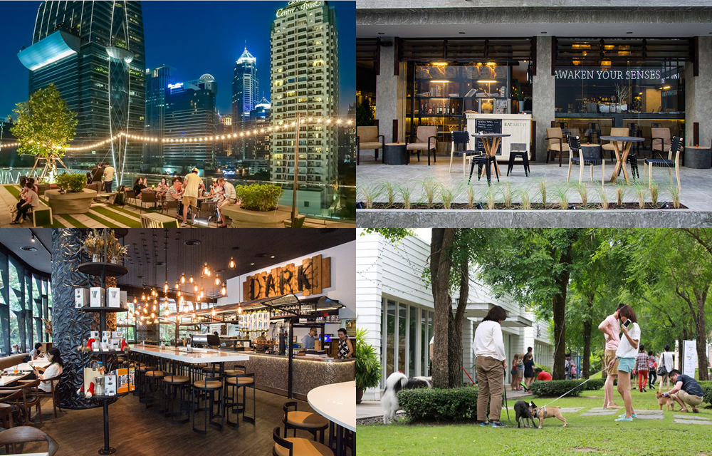 12 of Bangkok's most pet-friendly restaurants and businesses | BK