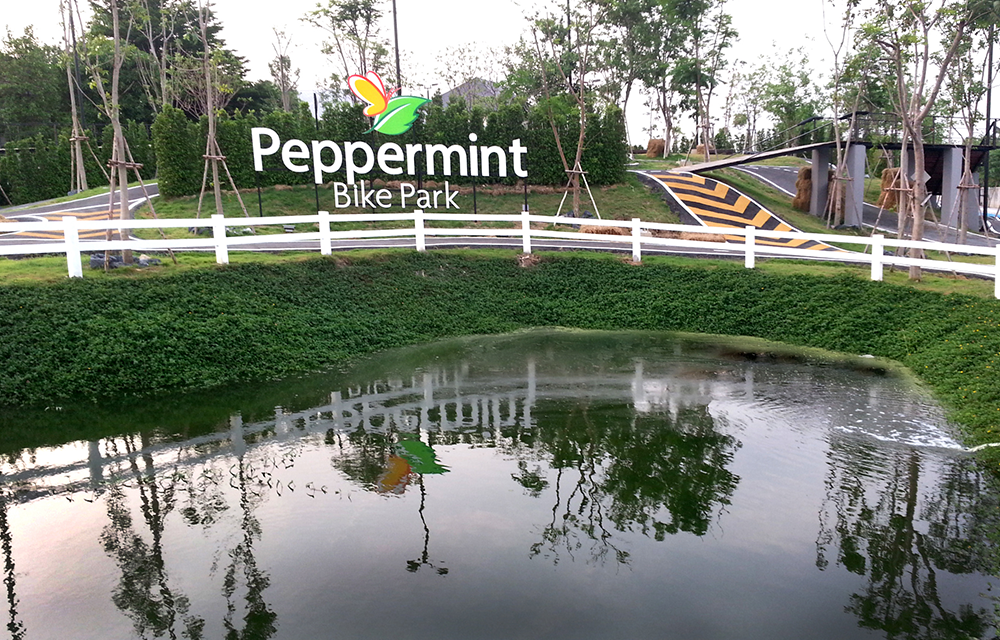 peppermint bike