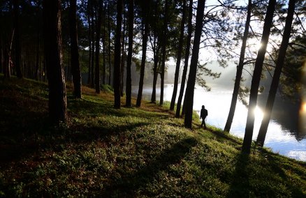 Tham Pla - Namtok Pha Suea National Park