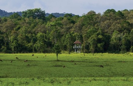 Phu Khiao Wildlife Sanctuary