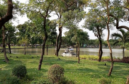  Chatuchak Park Lake. Credit: Roy Kabanlit