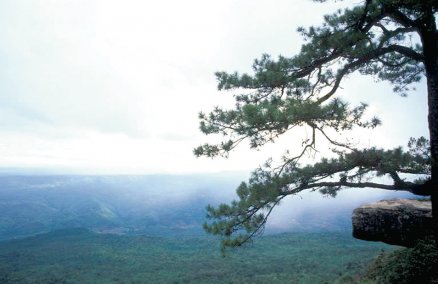 Phu Kradueng