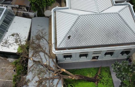 Photo: Tree collapsed on Neilson Hays Library / Facebook, Neilson Hays Library