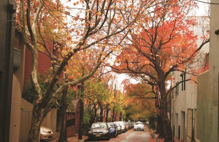A small lane next to Crown Street