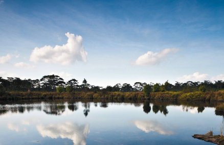 Anodard Pond