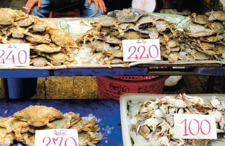 Seafood vendor at Mahachai Market