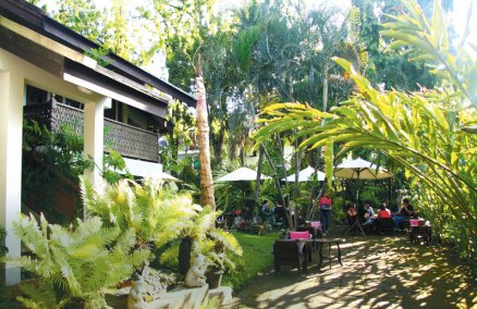 Fern forest café