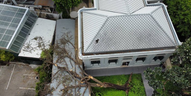 Photo: Tree collapsed on Neilson Hays Library / Facebook, Neilson Hays Library