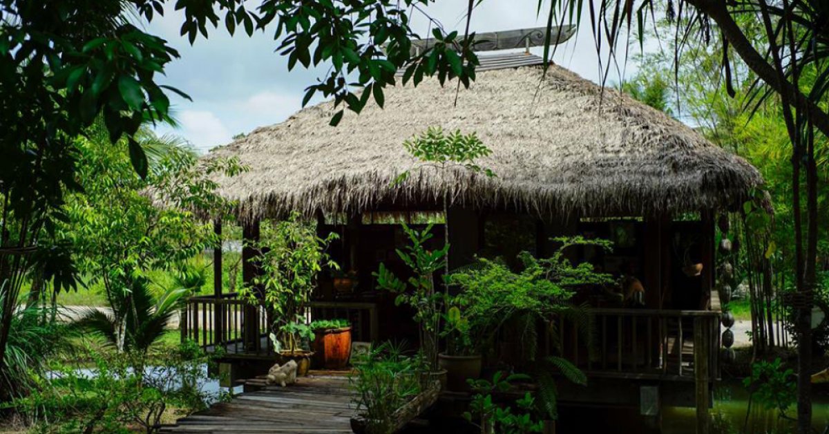 Check out these 5 amazing local restaurants in Pha Nga and Krabi | BK ...