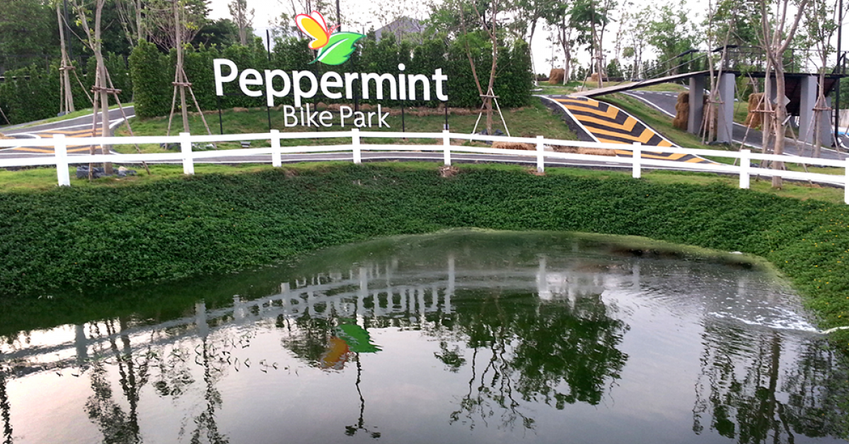 peppermint park cota