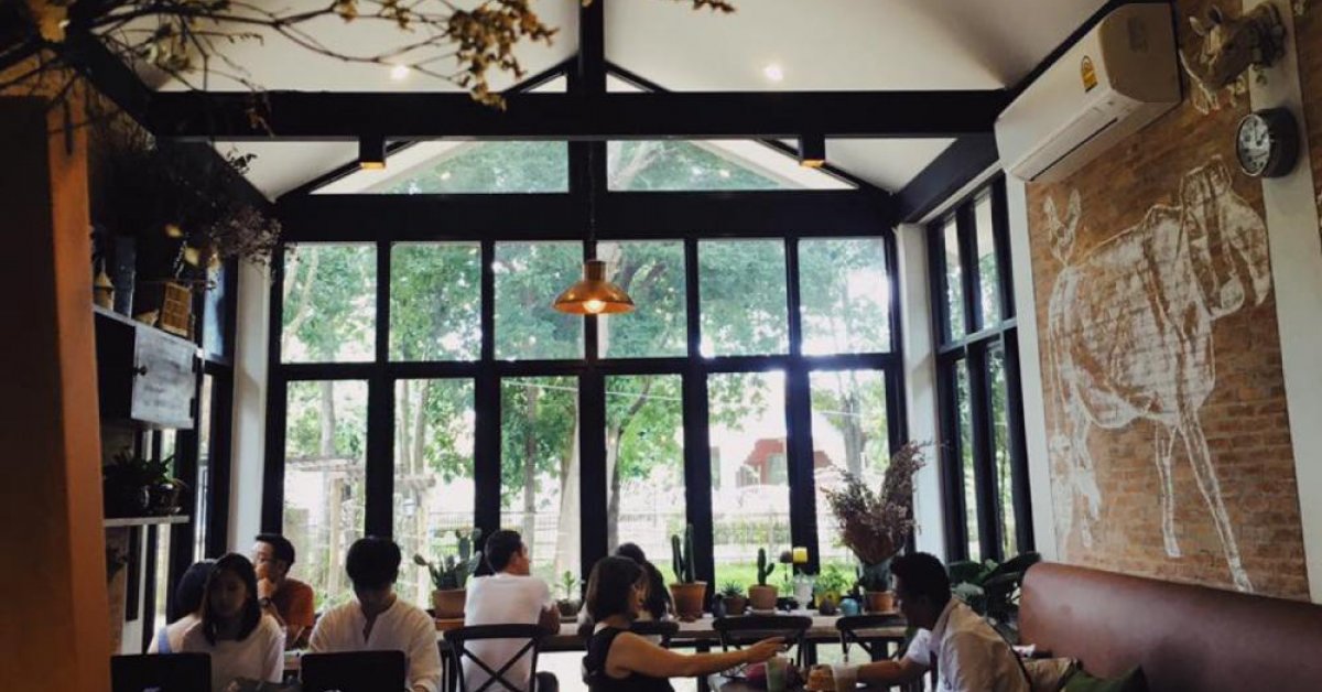 Check Out Chiang Mai's Latest Cafe Surrounded By Farms And Foliage | BK ...