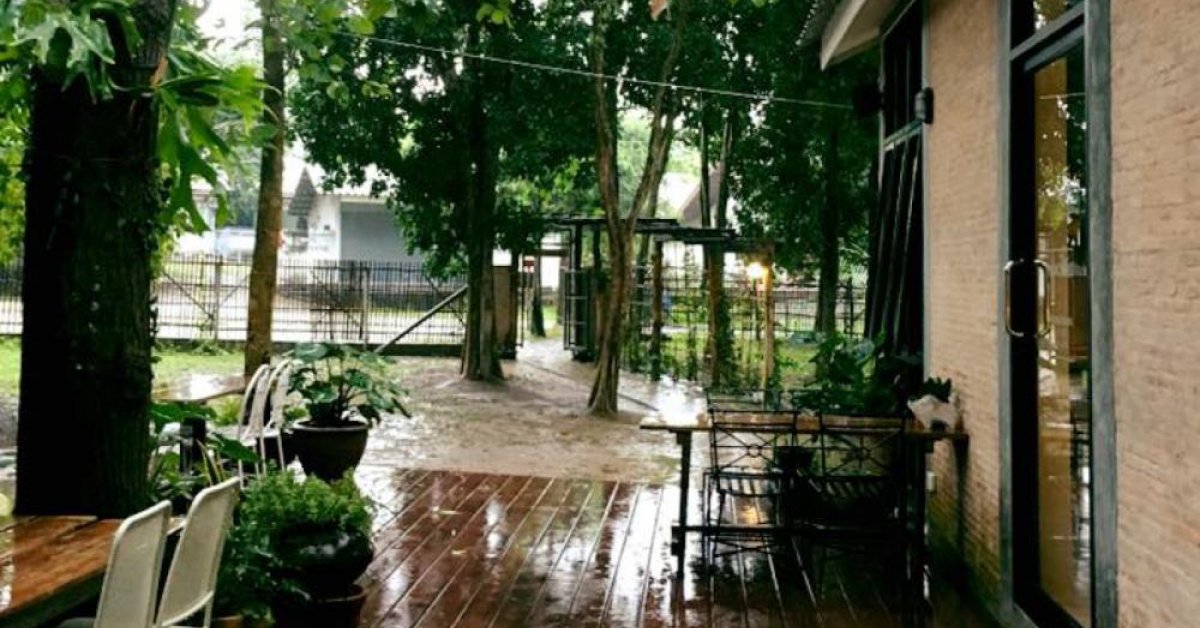 Check out Chiang Mai's latest cafe surrounded by farms and foliage | BK ...