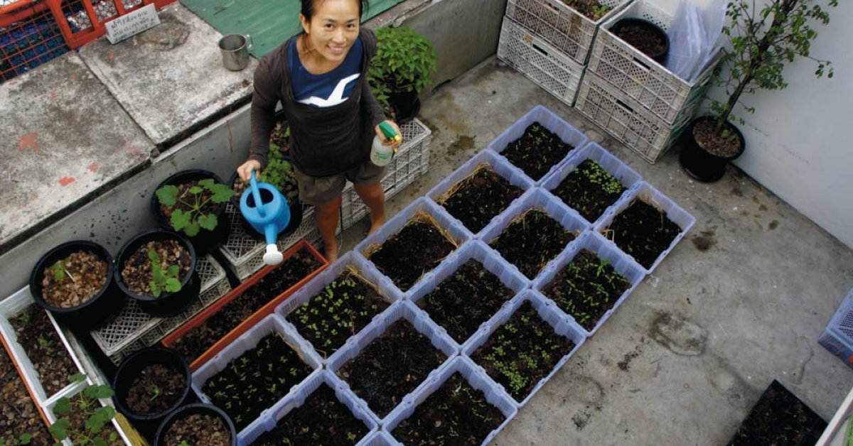 From Farm To Table Why More Restaurants Prefer Locally Grown Options From Farm To Table Why More Restaurants Prefer Locally Grown Options