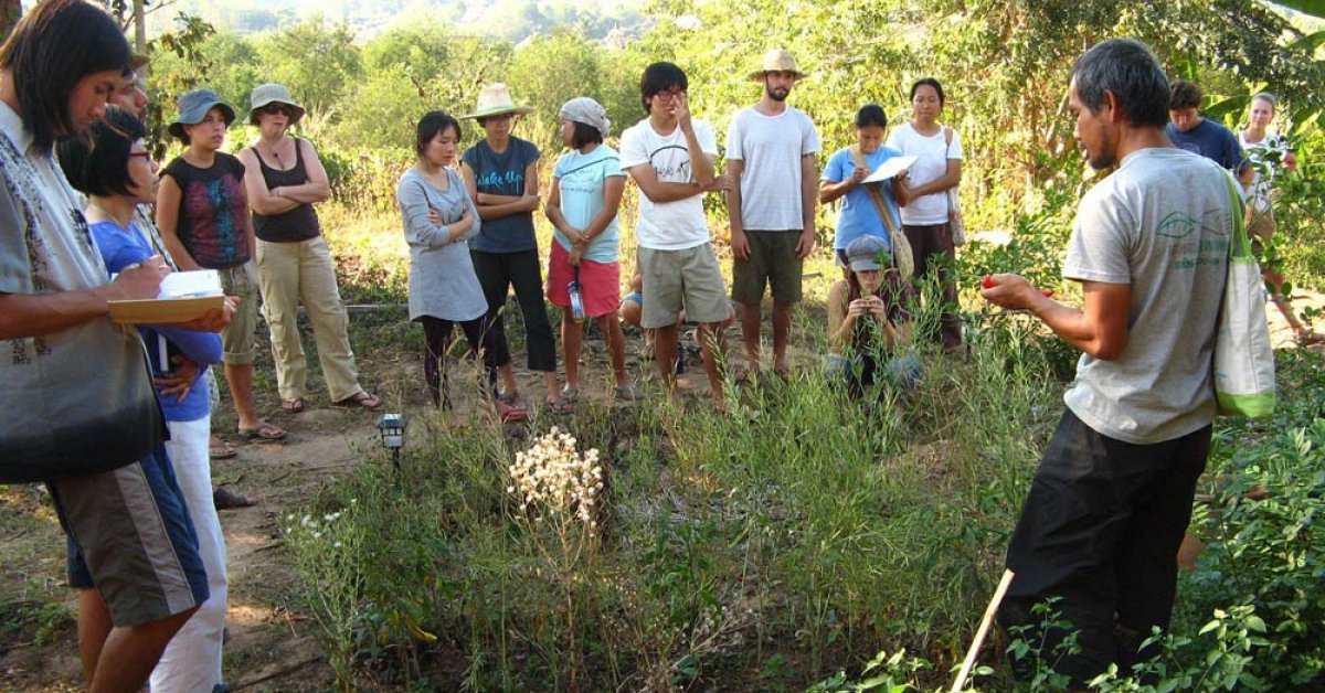 From Farm To Table Why More Restaurants Prefer Locally Grown Options From Farm To Table Why More Restaurants Prefer Locally Grown Options
