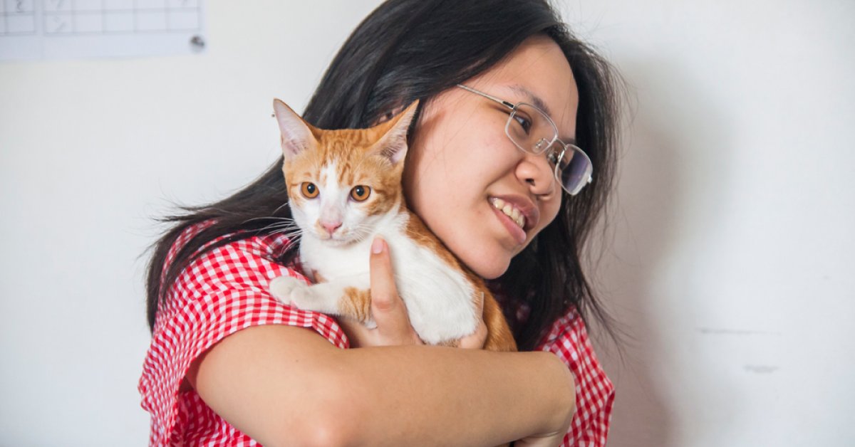 The Pet Owners Saving Bangkok's Stray Cats and Dogs | BK Magazine Online