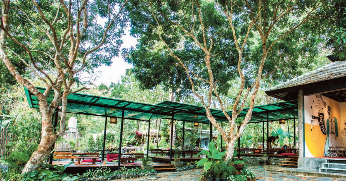 Chiang Mai's must-visit jungle cafes | BK Magazine Online