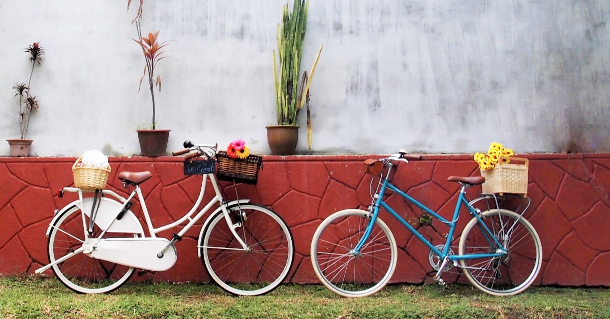 bike rent for one day