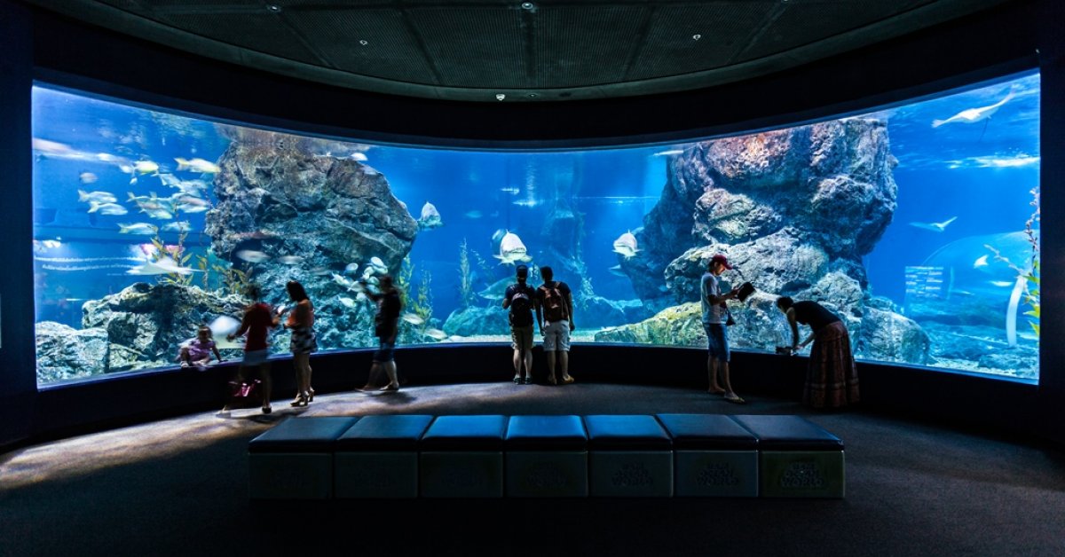 Sea Life Bangkok Ocean World | BK Magazine Online