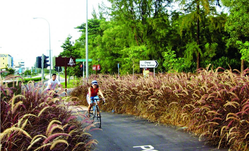 Quagmire Hen imod Pligt 4 scenic cycling loops to check out in Singapore | BK Magazine Online