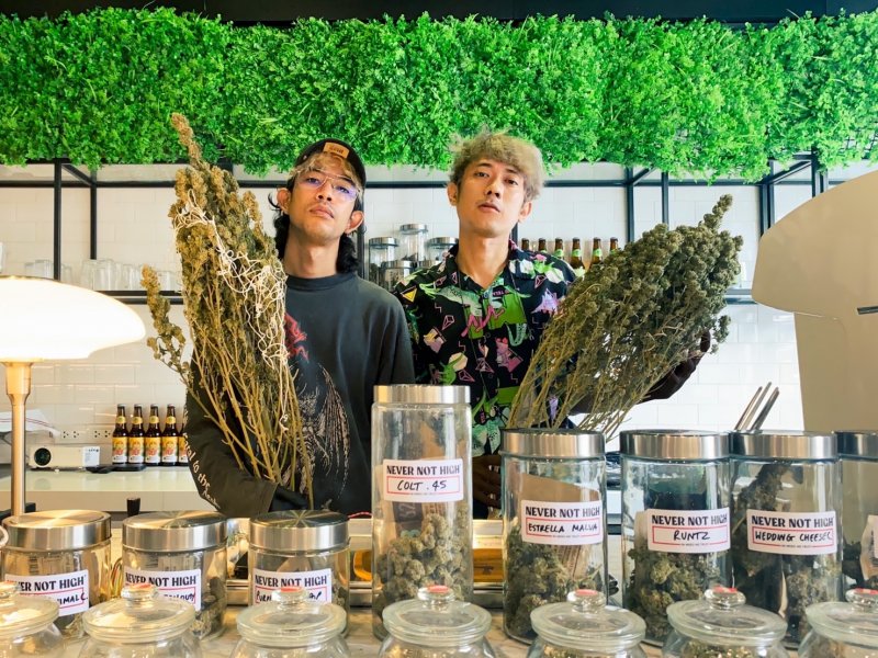 bangkok weed tour