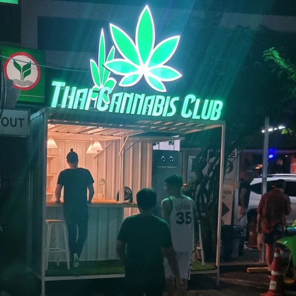 bangkok weed tour